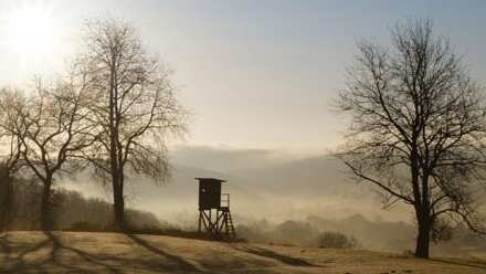 Land Rover Experience