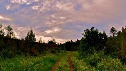Land Rover Experience