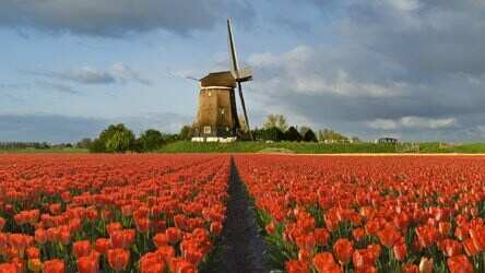 Land Rover Experience