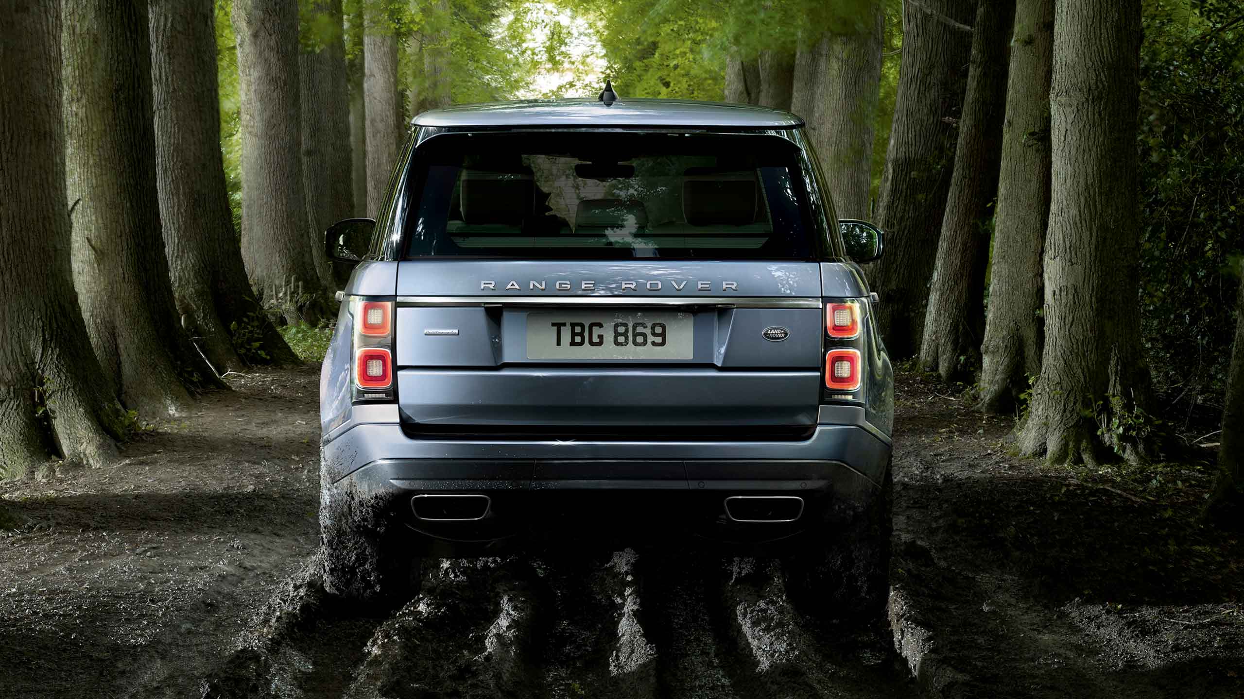 2018 Range Rover amongst trees