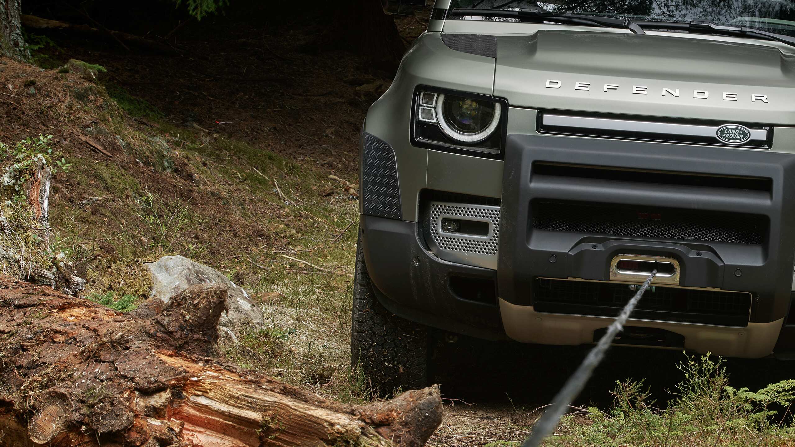 Car pulling tree trunk with a rope