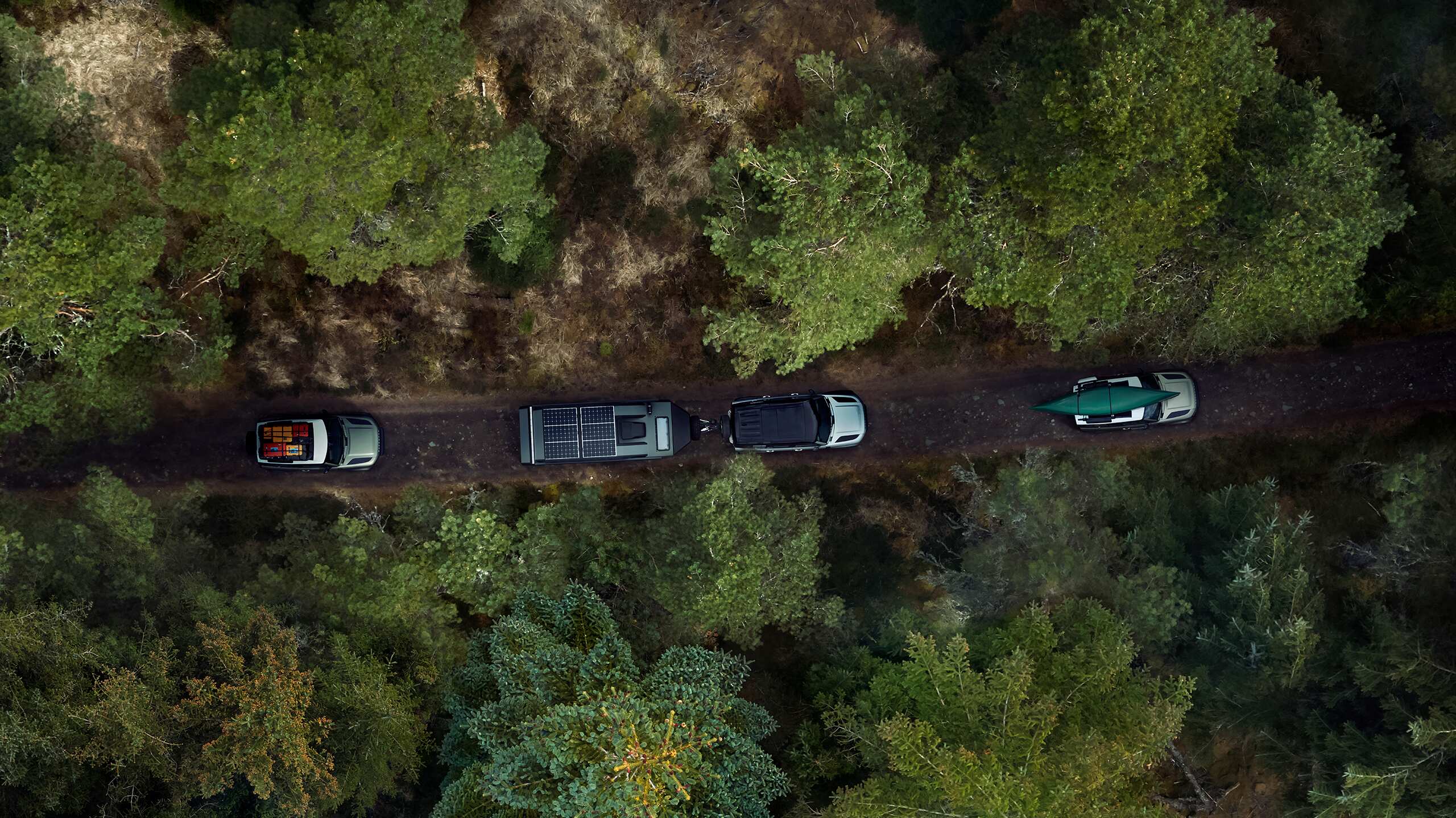 Four cars driving in a line on a forest road, viewed from above.