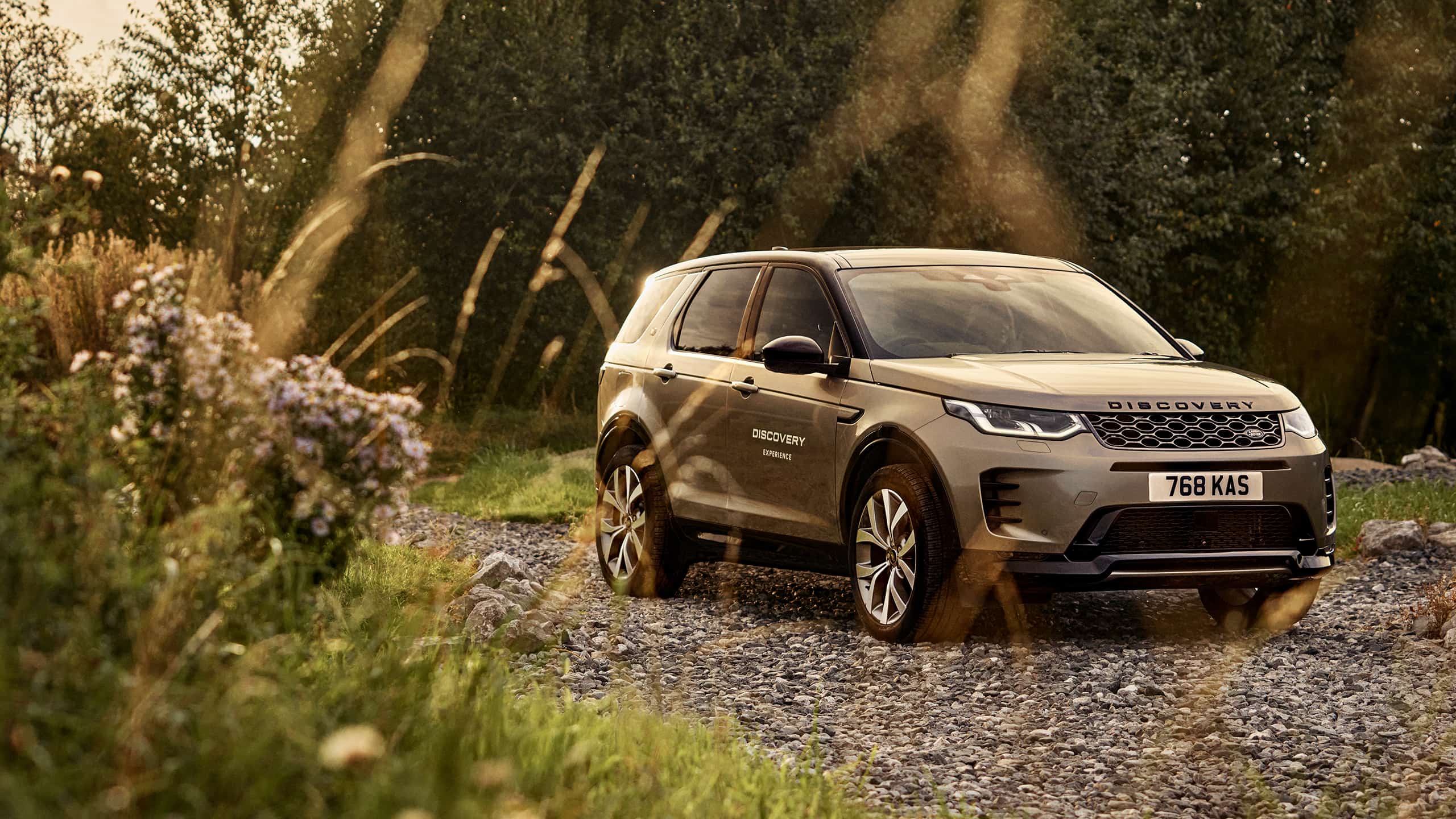 DISCOVERY ONE HOUR EXPERIENCE