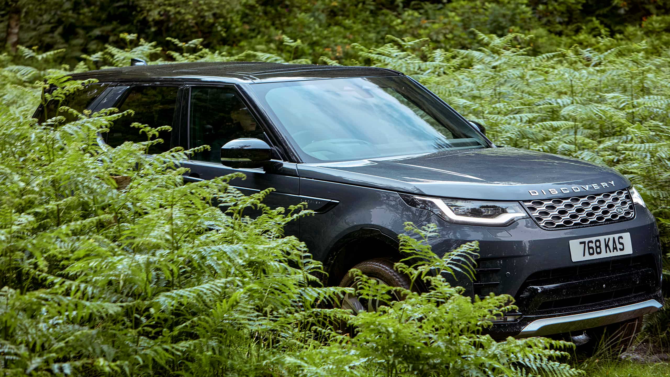 DISCOVERY HALF DAY EXPERIENCE