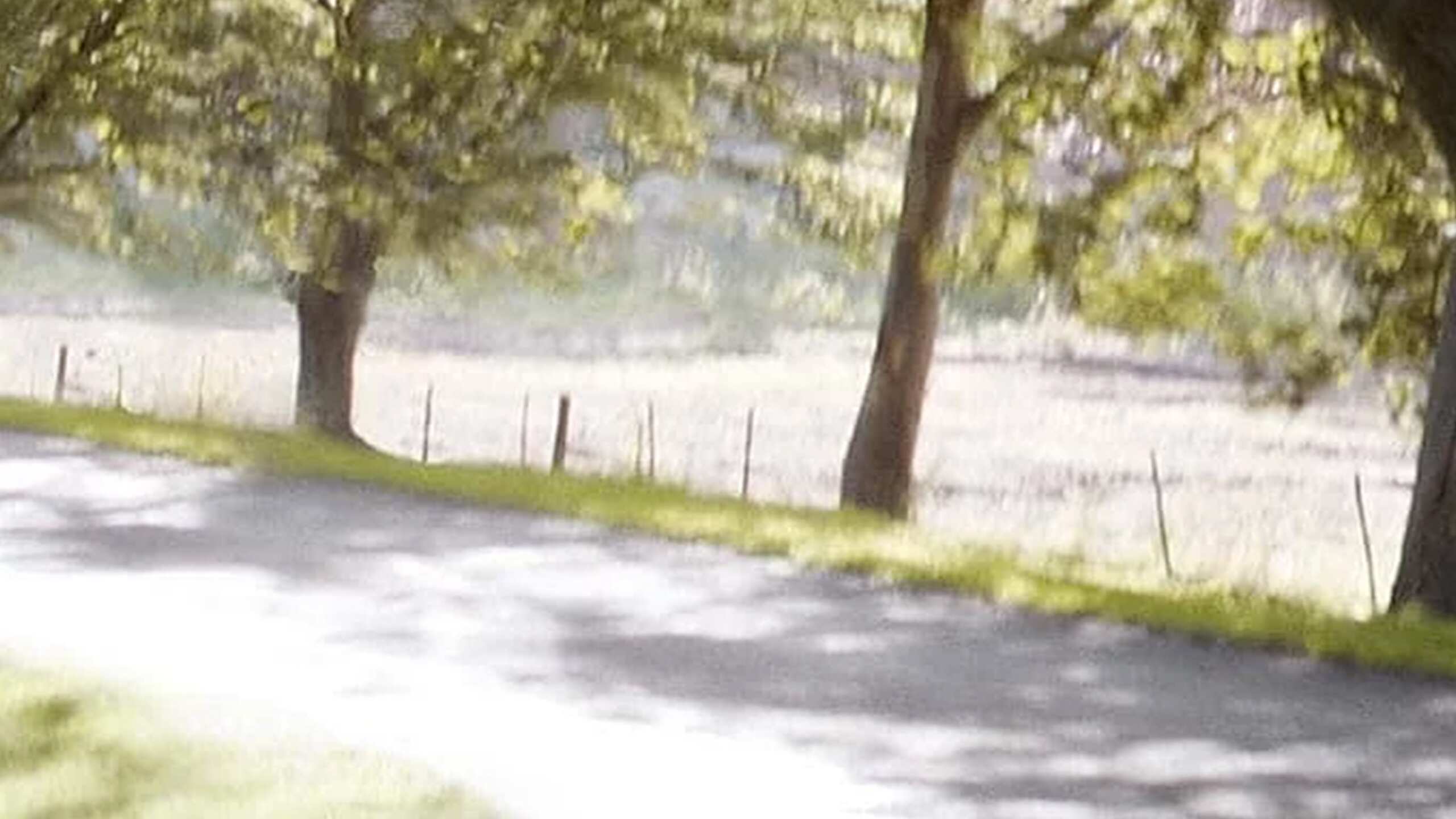 City and Country Driving